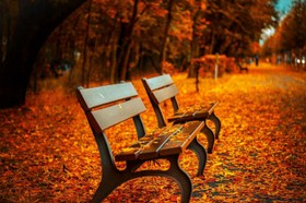 BenchFallParkAutumn.jpeg